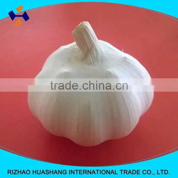 Good Quality Pure White Fresh Garlic Size4.5cm