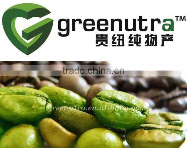 Green Coffee Extract Powder