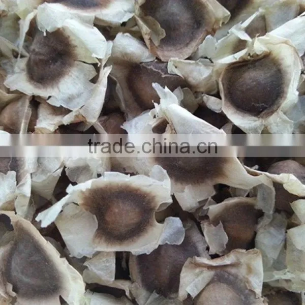 Germination and Plant Production India Seed Indian PKM1 Moringa Oleifera Seeds photo-2