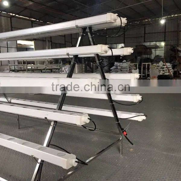 Hydroponic Vertical System for Lettuce photo-5