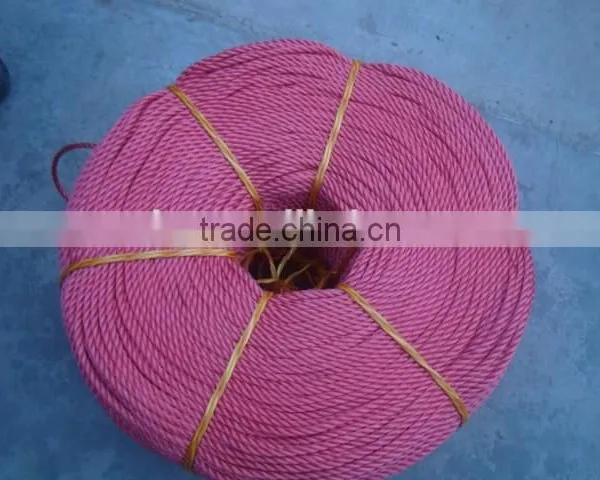 0.8mm Twisted pe and pp Rope Twine Sisal Rope