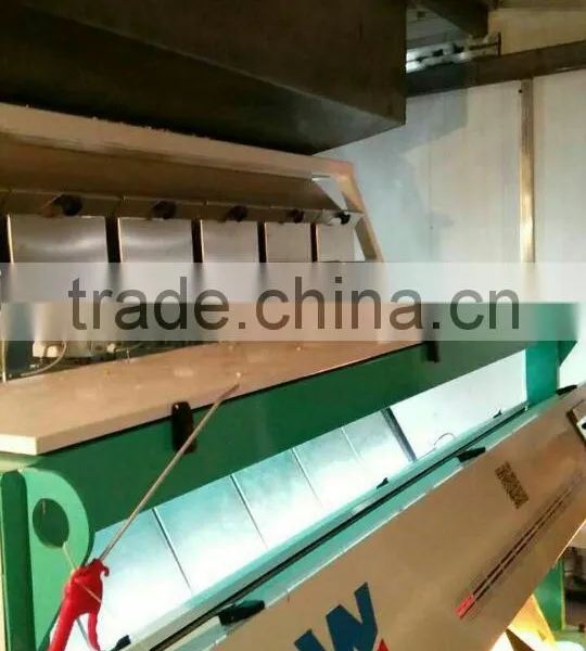Double Side View Technology Optical Sea Salt Size Color Sorting Machine photo-5