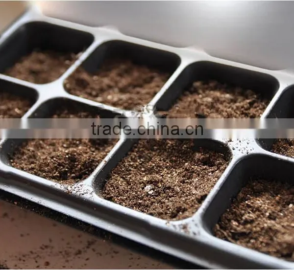 Growing Vegetable Transplants in Plug Seed Nursery Trays 8 Cell photo-4