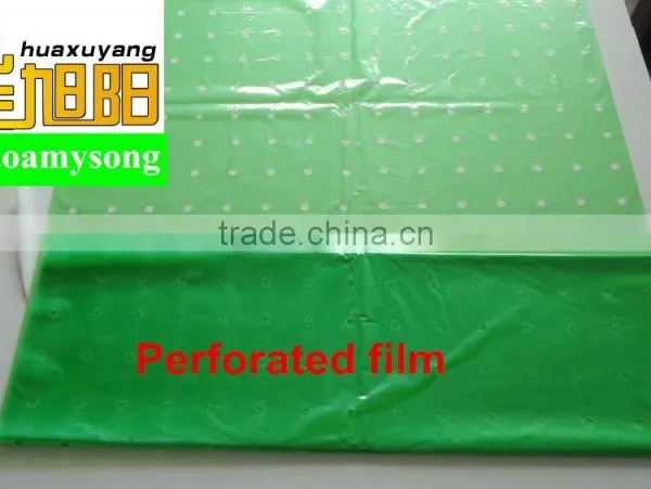 Blow Molding LDPE Plastic Tomato Perforated Yellow Tube Film photo-4