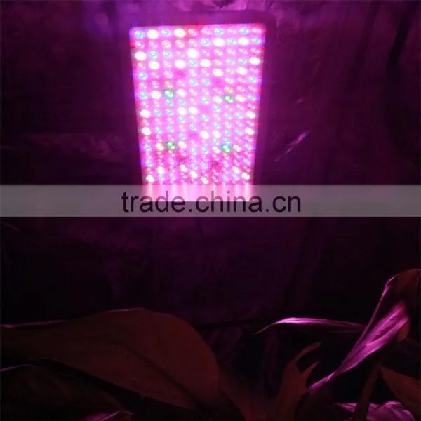 1000W LED Grow Light - High Yield - Full Spectrum Indoor Hydroponic Plants Veg Bloom photo-6