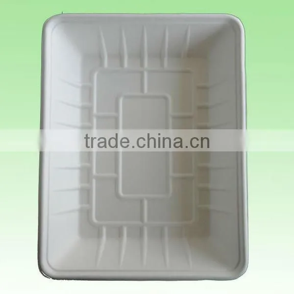 Sugar Cane Pulp Tray/biodegradable Tray