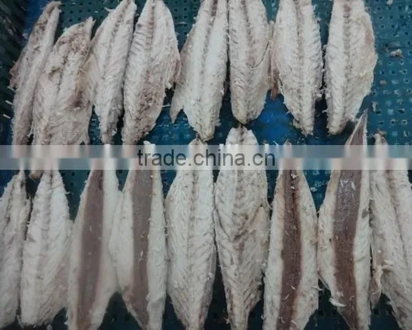 Frozen Mackerel Loins photo-2