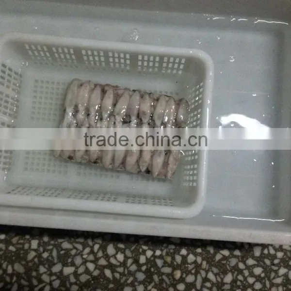 Grade A BQF Baby Squid Loligo Japonica photo-2