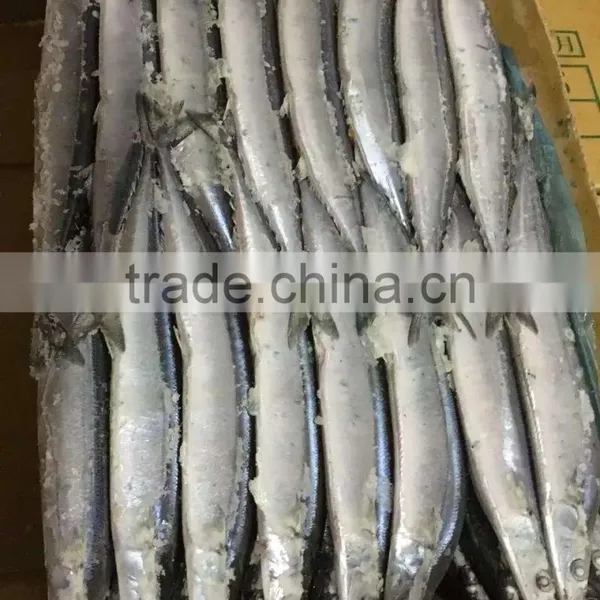 Frozen Pacific Saury, photo-3