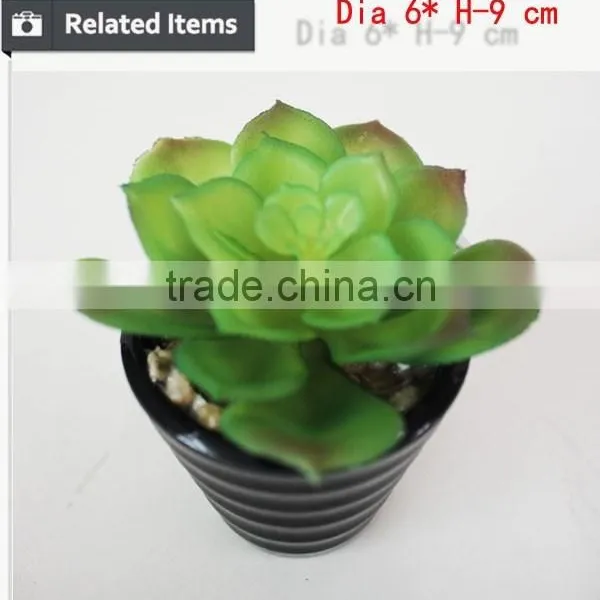Tropical Mini Succulent Plants Bonsai for Sale Artificial Succulents photo-4