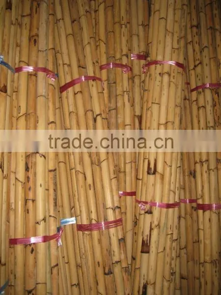 Manau Cane, Manau, Manao, Rattan Pole, Pole, Rattan, Cane, Rattan Cane, Cricket Cane, Singapore Cane, Manao Cane, Manao Pole photo-5