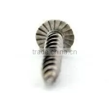 Made in Taiwan Stainless Steel 306 Standard Tapping Screw Self Tapping Screw photo-5