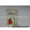 Lid