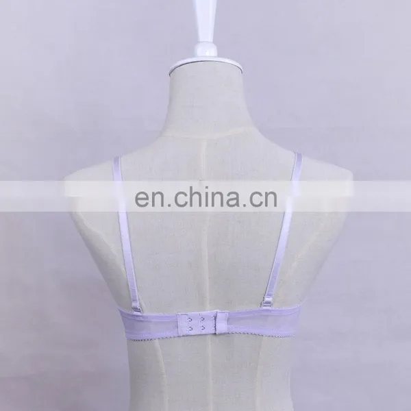 China Factory Comfortable Light Purple Padded Push Up Young Lady Bra photo-2