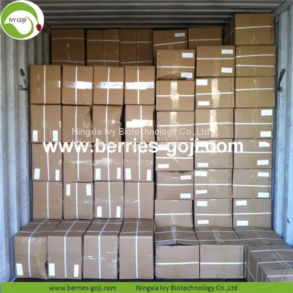 Factory For Sale Dried Conventional Goji Berry photo-5