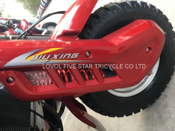 Gasoline Tricycle Double Shock Absorber Trike Three Wheeler Cargo Loader photo-2
