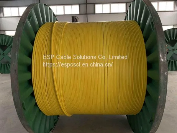 Downhole Sensor Cable photo-4