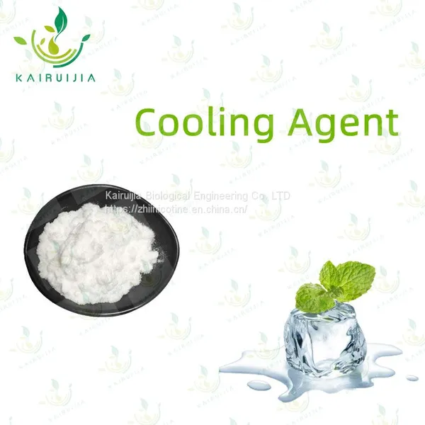 Ws-23 Liquid Food Additive/ Cooling Agent WS-23 Ws-23 Ws-23