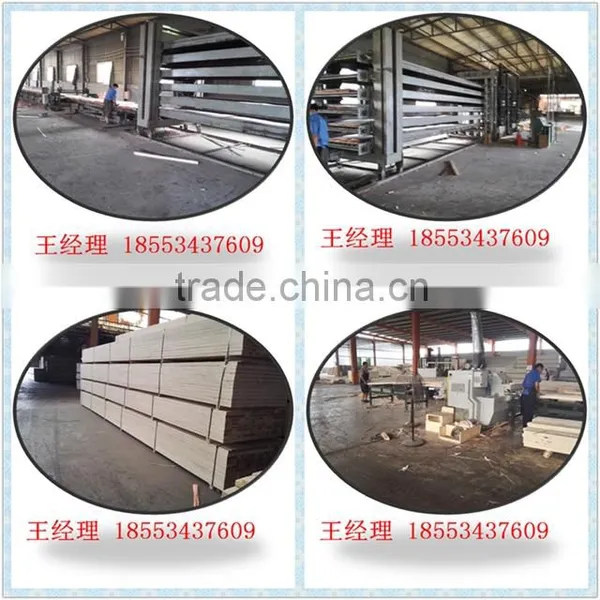 Poplar LVL for Packing Malaysia Poplar Lvl for Packing photo-4