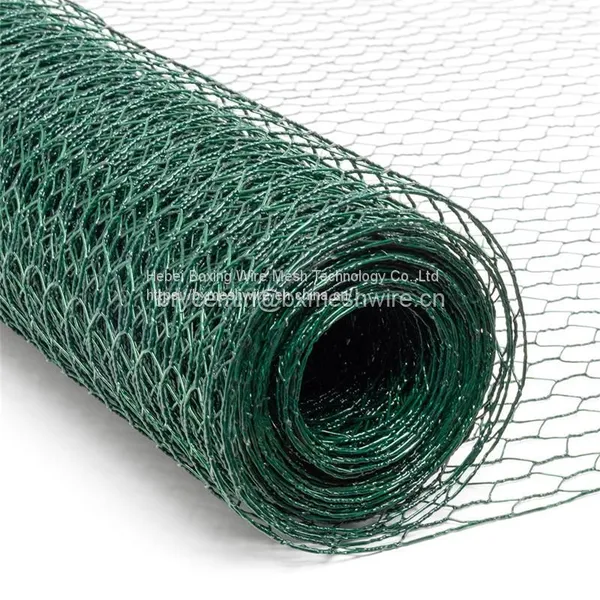 Factory Hot Sale PVC Coated Hexagonal Wire Mesh photo-2