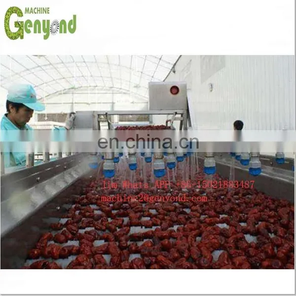 Multifunctional Rotary Drum Washing Machine Raisin Washing Machine photo-3