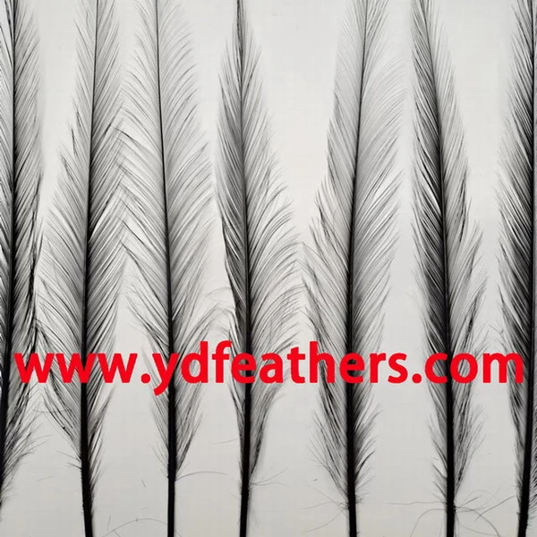 Changshu Bixi Electrostatic Coating Equipment Factory company overview - view 4