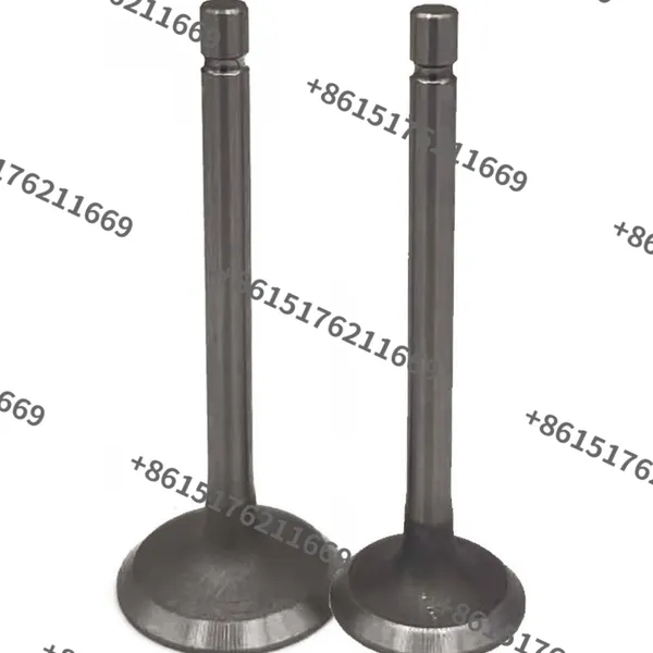 China Factory Supply S195, S1100, S1105, S1110, S1115, S1125 Diesel Engine Valve Kit photo-3