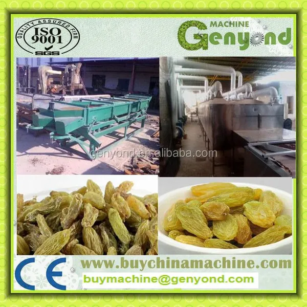 Raisin Cleaning Machine for the Raisin Processing photo-2