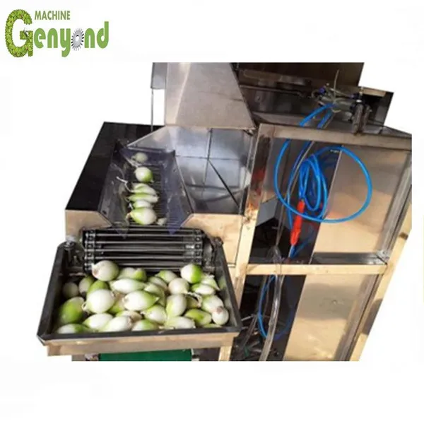 Onion Cutter Machine Fruit & Vegetable Machines photo-5
