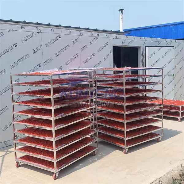Machinery Drying Vegetable Fruit Tomato Drying Machine Food Dryer Dehydrator Drying Machine photo-3