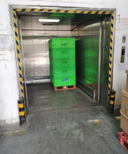 Freight Elevator / Cargo Lift photo-5