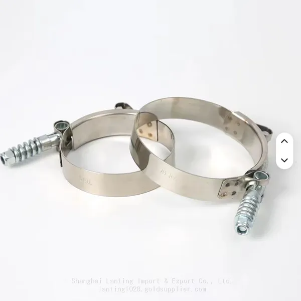Spring Loaded T-bolt Clamp photo-3