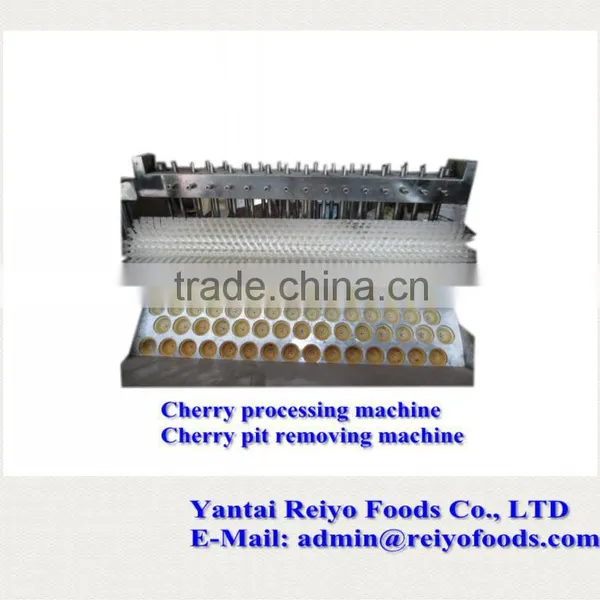Cherry Seed Removing Machine / Cherry Pitting Machine photo-5