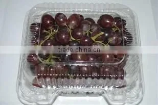 Factory Price Plastic Transparent Small Box
