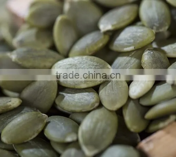 Common Cultivation Pumpkin Kernels/dried Pumpkin Seeds Kernels photo-4