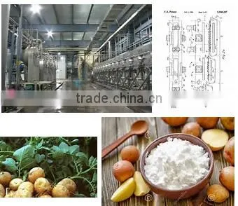 starch processing line