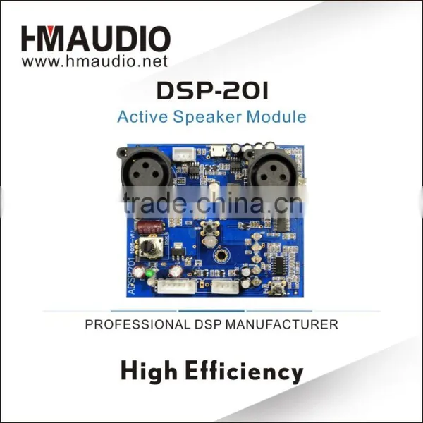 DSP201 DSP Module board