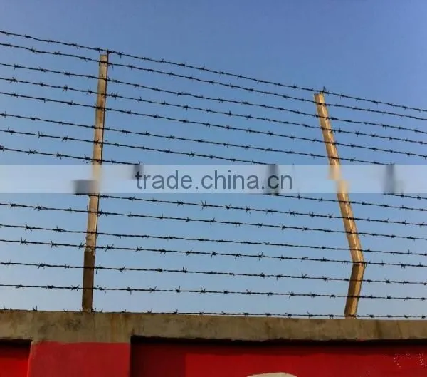 Anping Factory Barbed Wire photo-5