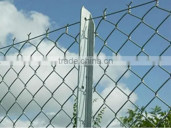 Galvanized Diamond Wire Mesh,chain Link Mesh photo-4