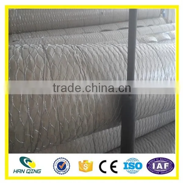 Best Price Hexagonal Mesh From Anping Factory photo-3