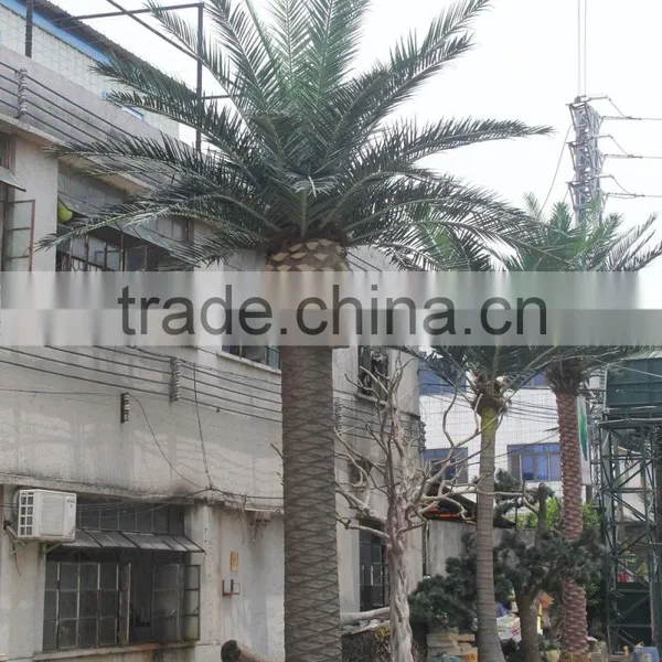 Wholesale Artifical Decorative Date Palm Tree for Garden photo-5