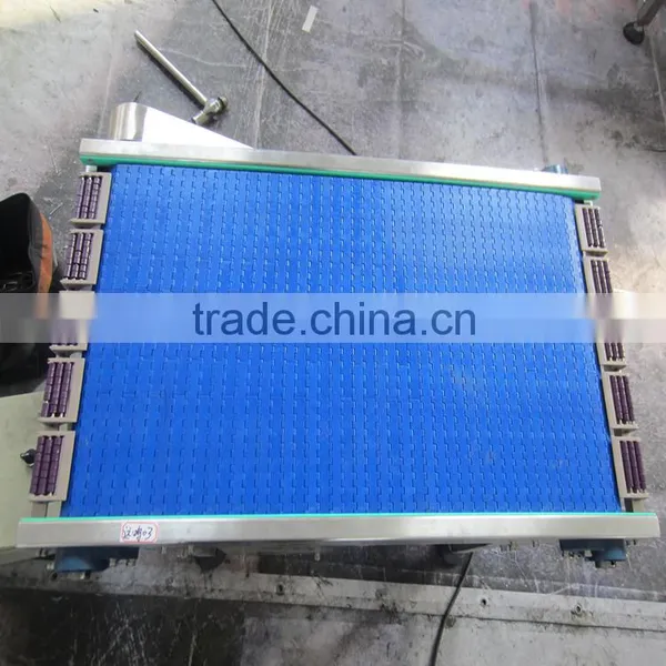 Pleastic Belting Conveyor System for Heavy Duty Loading photo-2
