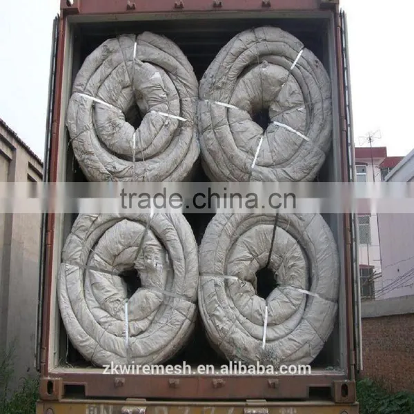 Concertina Razor Wire/Concertina Wire/Razor Barbed Wire photo-5