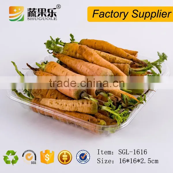 Disposable Plastic Clear Fruit Food Tray photo-3