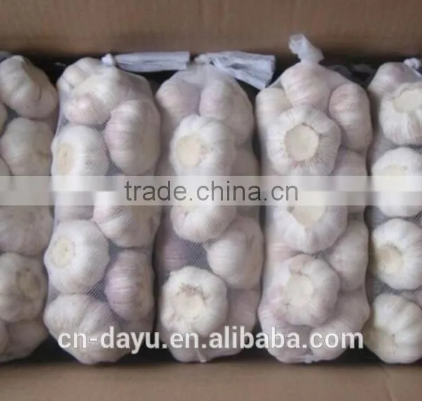 2016 Fresh Garlic Supplier photo-5