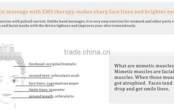 Portable Facial Muscle Stimulator for Aged Skin photo-3