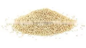 BULK QUINOA photo-2