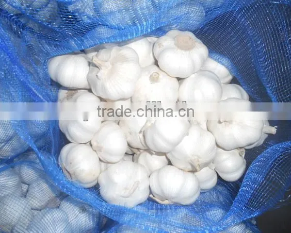 2015 China New Common White Garlic photo-3