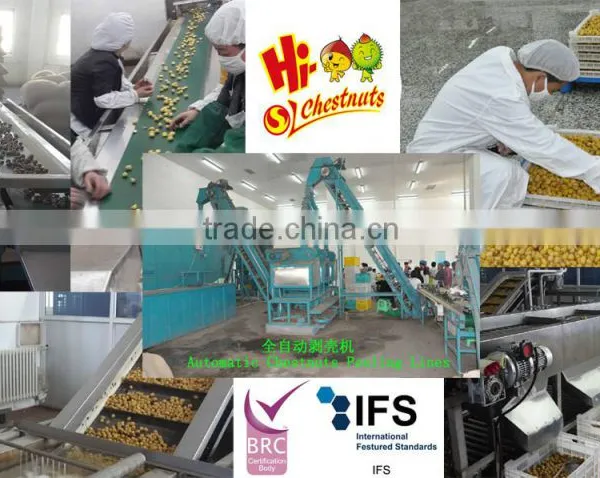 Quicking Freeze Peeled Chestnuts--the Best Quality Frozen Chestnuts photo-5