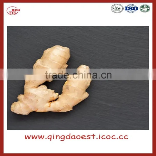 Chinese Fresh Ginger photo-6